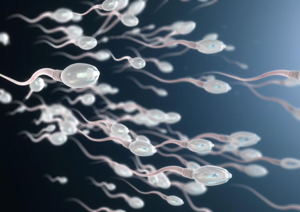 Everything You Need To Know About Sperm Motility IVF Solutions